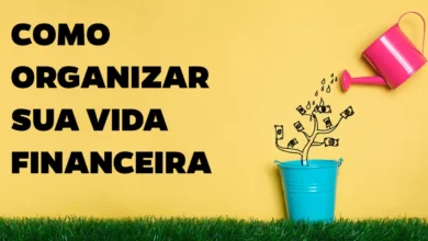 Como Organizar o Salário do Mês